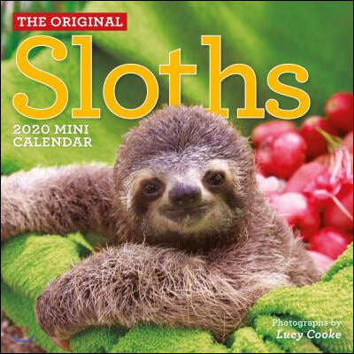 Original Sloths 2020 Calendar