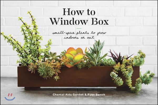 How to Window Box: Small-Space Plants to Grow Indoors or Out