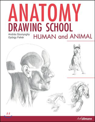 Anatomy Drawing School: Human and Animal