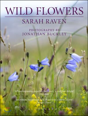 Sarah Raven&#39;s Wild Flowers