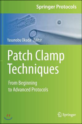 Patch Clamp Techniques: From Beginning to Advanced Protocols