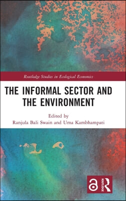 Informal Sector and the Environment