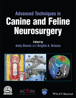 Advanced Techniques in Canine and Feline Neurosurgery