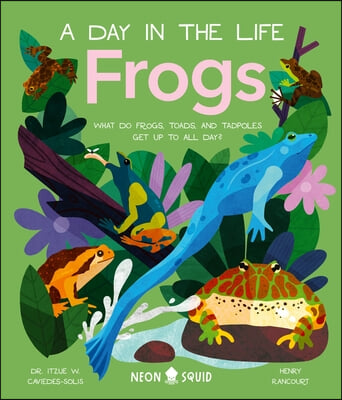 Frogs (a Day in the Life): What Do Frogs, Toads, and Tadpoles Get Up to All Day?