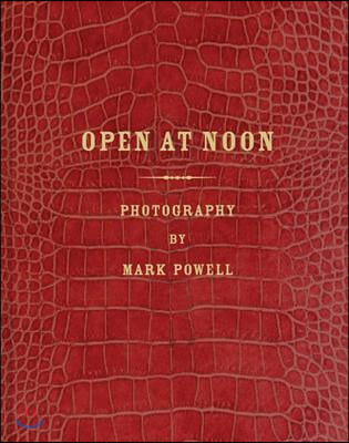 Mark Alor Powell: Open at Noon