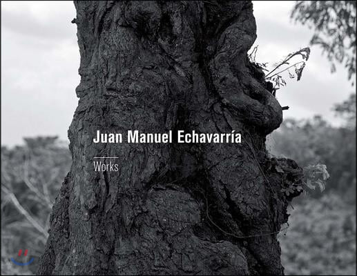 Juan Manuel Echavarria: Works