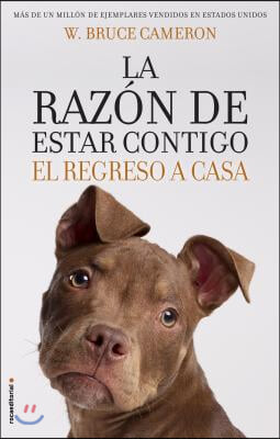 La Razon De Estar Contigo  /  Every Dog Happens for a Reason