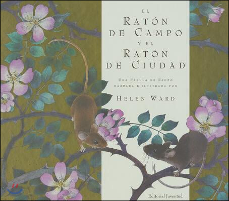 El Raton de Campo y El Raton de Ciudad