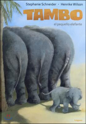 Tambo El Pequeno Elefante