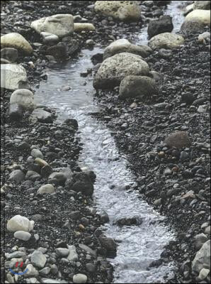 Olafur Eliasson: Riverbed