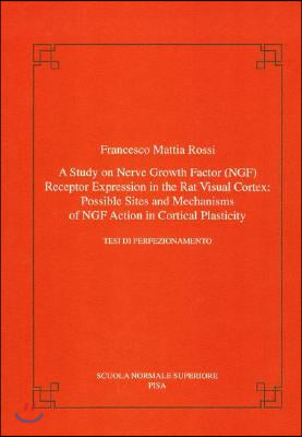 A Study on Nerve Growth Factor (Ngf) Receptor Expression in the Rat Visual Cortex: Possible Sites and Mechanisms of Ngf Action in Cortical Plasticity