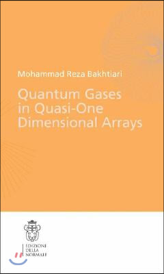 Quantum Gases in Quasi-One-Dimensional Arrays