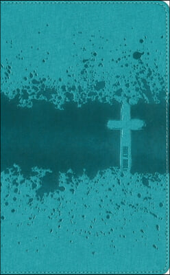 Niv, Kids' Visual Study Bible, Leathersoft, Teal, Full Color Interior, Peel/Stick Bible Tabs: Explore the Story of the Bible---People, Places, and His