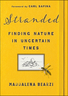 Stranded: Finding Nature in Uncertain Times