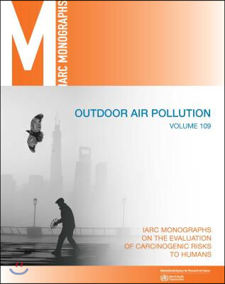 Outdoor Air Pollution: IARC Monographs on the Evaluation of Carcinogenic Risks to Humans