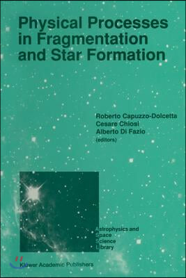 Physical Processes in Fragmentation and Star Formation: Proceedings of the Workshop on 'Physical Processes in Fragmentation and Star Formation', Held