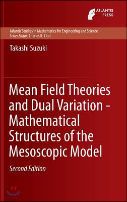 Mean Field Theories and Dual Variation - Mathematical Structures of the Mesoscopic Model