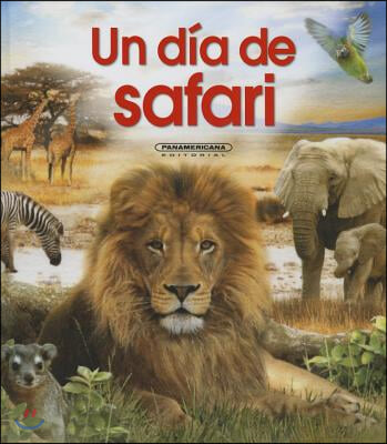 Un Da de Safari- One Day on Safari