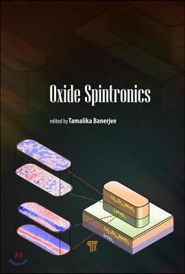 Oxide Spintronics