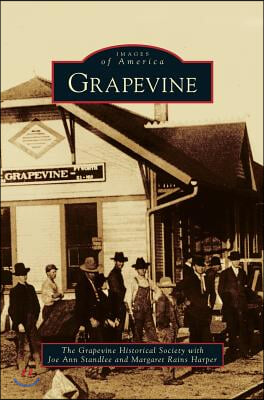 Grapevine