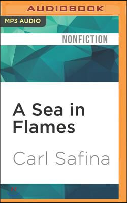 A Sea in Flames