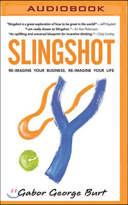 Slingshot: Re-Imagine Your Business, Re-Imagine Your Life