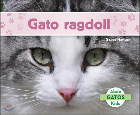 Gato Ragdoll (Ragdoll Cats)