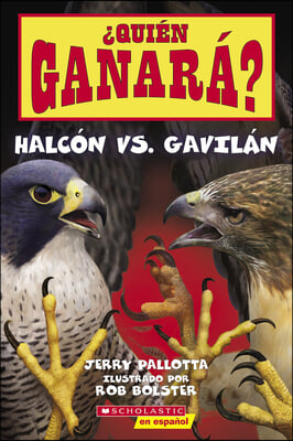 &#191;Qui&#233;n Ganar&#225;? Halc&#243;n vs. Gavil&#225;n (Who Will Win? Falcon vs. Hawk)