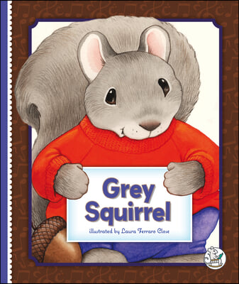 Grey Squirrel