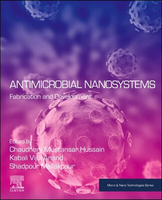 Antimicrobial Nanosystems: Fabrication and Development