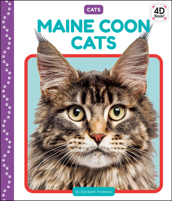 Maine Coon Cats