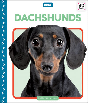 Dachshunds