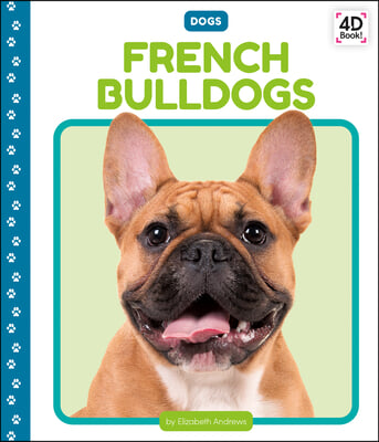 French Bulldogs