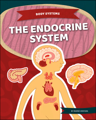 Endocrine System