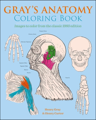 Gray's Anatomy Coloring Book: Images to Color from the Classic 1860 Edition