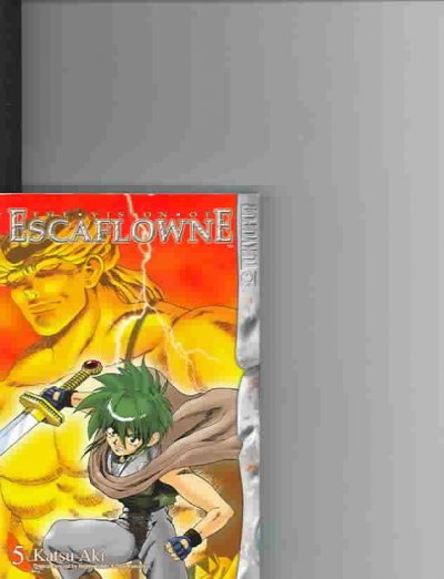 Vision of Escaflowne Vol 5