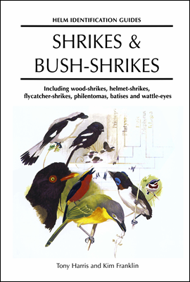 Shrikes and Bush-shrikes