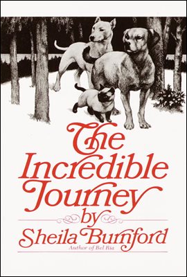 The Incredible Journey