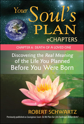 Your Soul&#39;s Plan eChapters - Chapter 6