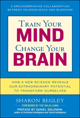 Train Your Mind, Change Your Brain