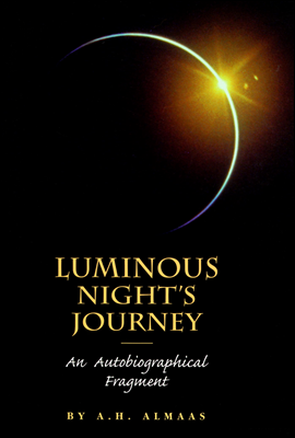 Luminous Night&#39;s Journey