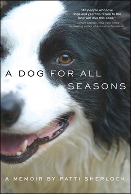 A Dog for All Seasons