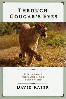 Through Cougar&#39;s Eyes