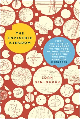 The Invisible Kingdom