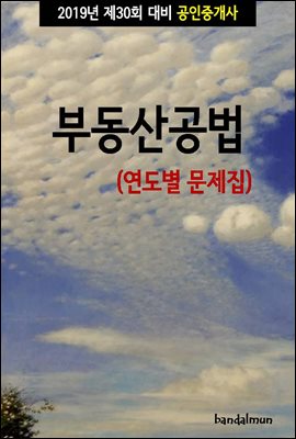 2019년 제30회 대비 공인중개사 부동산공법 (연도별 문제집)
