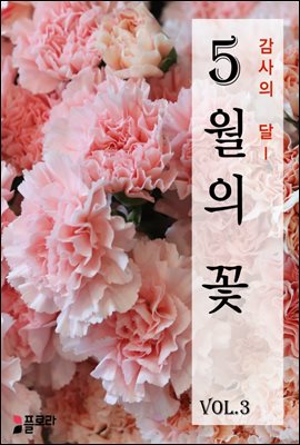 감사의 달 5월의 꽃 vol.3