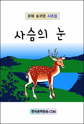 사슴의 눈