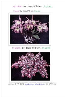 서양난 난초 (Orchids, by James O'Brien)
