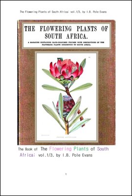 남아프리카 공화국의 꽃을 피는 식물들 제1권 (The Flowering Plants of South Africa; vol.1/3, by I.B. Pole Evans)