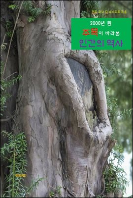 2000년 된 주목이 바라본 인간의 역사